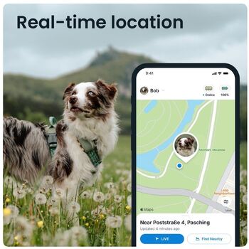 Tractive XL GPS staðsetningartæki fyrir hunda - Grænt