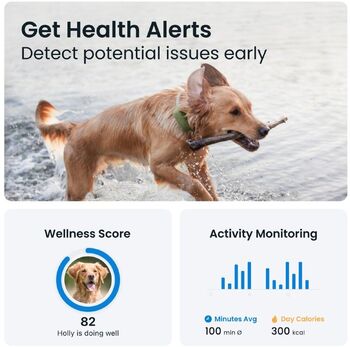 Tractive XL GPS staðsetningartæki fyrir hunda - Grænt