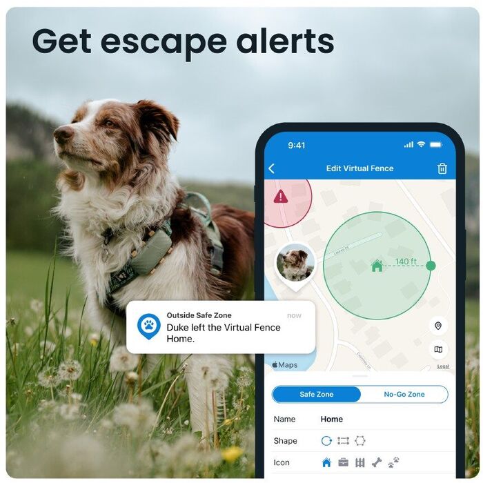 Tractive XL GPS staðsetningartæki fyrir hunda - Grænt