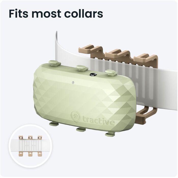 Tractive XL GPS staðsetningartæki fyrir hunda - Grænt