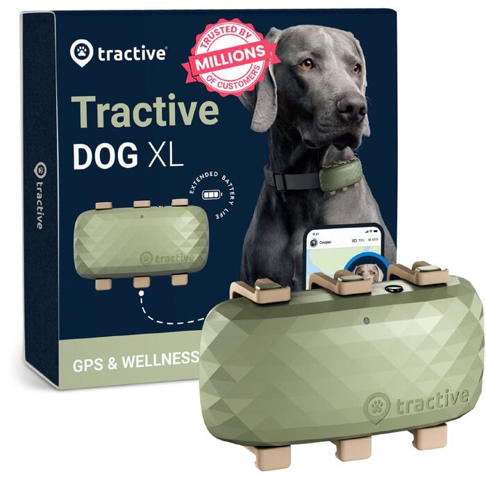 Tractive XL GPS staðsetningartæki fyrir hunda - Grænt