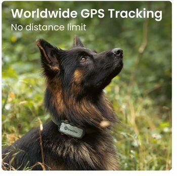 Tractive XL GPS staðsetningartæki fyrir hunda 