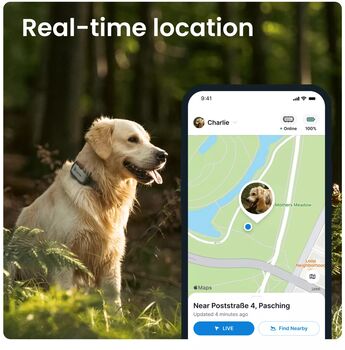 Tractive XL GPS staðsetningartæki fyrir hunda 