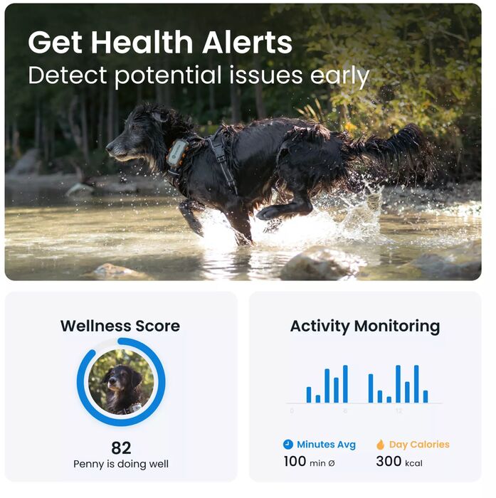 Tractive XL GPS staðsetningartæki fyrir hunda 
