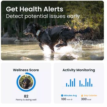 Tractive XL GPS staðsetningartæki fyrir hunda 
