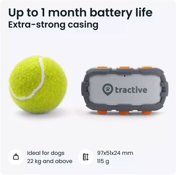 Tractive XL GPS staðsetningartæki fyrir hunda 