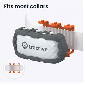 Tractive XL GPS staðsetningartæki fyrir hunda 