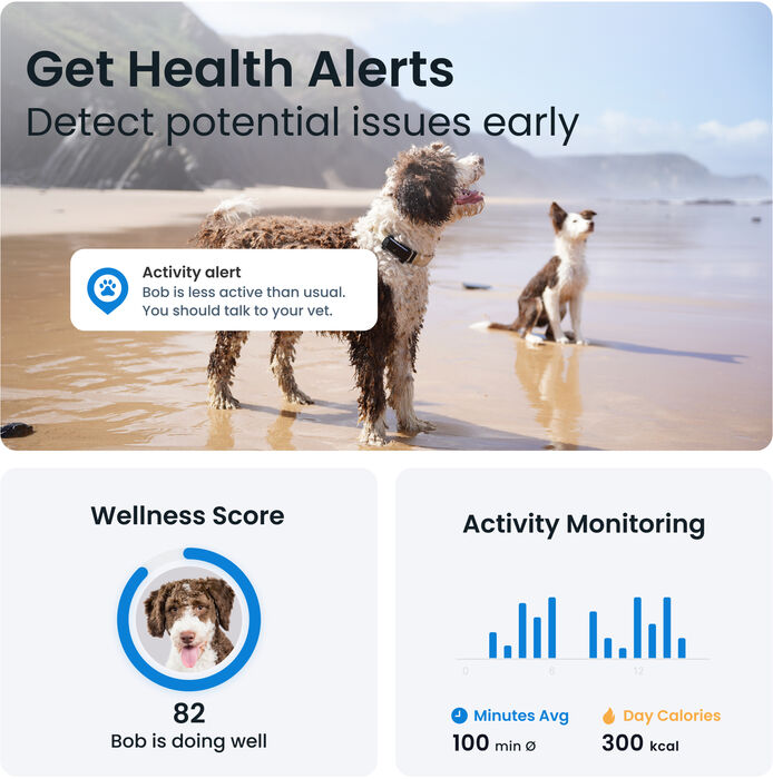 Tractive 6 GPS staðsetningartæki fyrir hunda - Svart