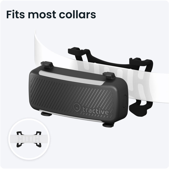 Tractive 6 GPS staðsetningartæki fyrir hunda - Svart
