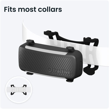 Tractive 6 GPS staðsetningartæki fyrir hunda - Svart