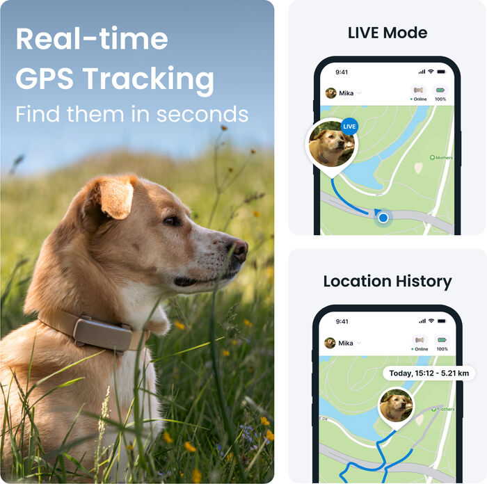 Tractive 6 GPS staðsetningartæki fyrir hunda - Brúnt 