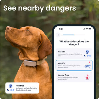 Tractive 6 GPS staðsetningartæki fyrir hunda - Brúnt 