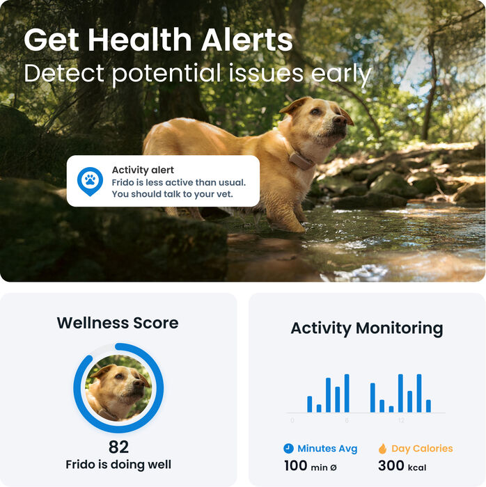 Tractive 6 GPS staðsetningartæki fyrir hunda - Brúnt 