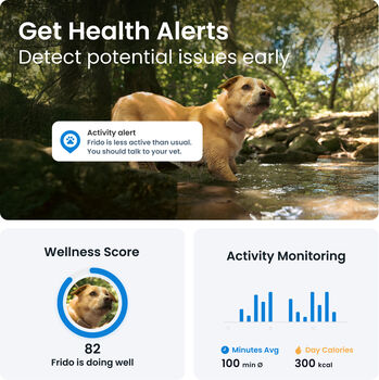 Tractive 6 GPS staðsetningartæki fyrir hunda - Brúnt 