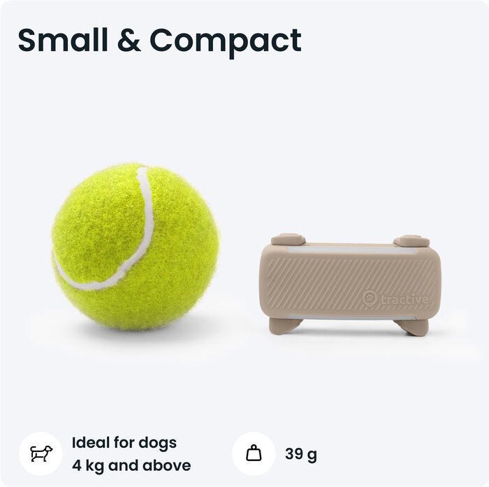 Tractive 6 GPS staðsetningartæki fyrir hunda - Brúnt 