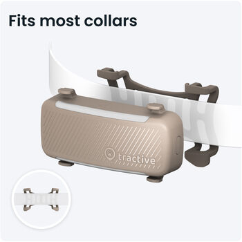 Tractive 6 GPS staðsetningartæki fyrir hunda - Brúnt 