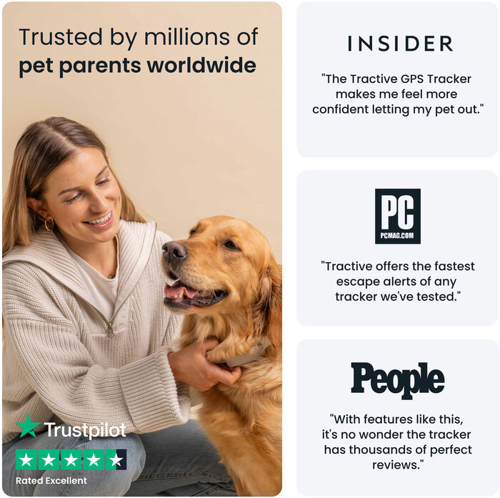 Tractive 6 GPS staðsetningartæki fyrir hunda - Brúnt 