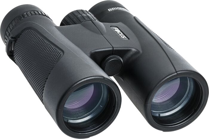 Focus Bright 8 x 42 sjónauki - Svartur