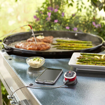 Weber iGrill Mini