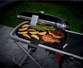 Weber ljós f. Q3200N & Traveler