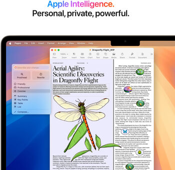 Apple MacBook Air M4 (2025) 13" 24/512 GB - Gyllt