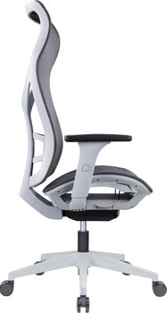 Zen Home 950 skrifborðstóll - Grár